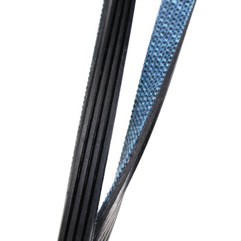 Belt-Dryer 131553800 CKD52129