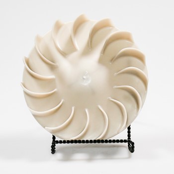 Wheel WP694089 CKD52433