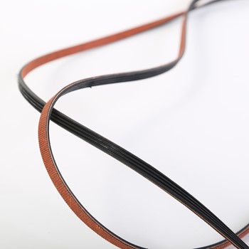 Belt Drive Poly V 341241 CKD53550