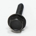 Ignitor 4391996 CKD53587