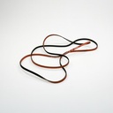 Belt 4 Rib Compact 3394652 CKD53610