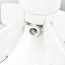 Agitator 22001821 CKD54378