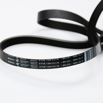 Belt WP8540101 CKD54920