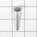 Screw 316433303 CKD56000