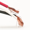 Block Terminal Power WB17X5095 CKD56217