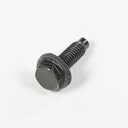 Screw 316069301 CKD56253
