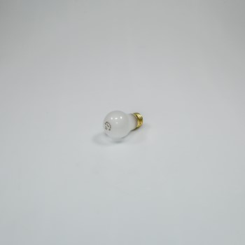 40 Watt Appliance Bulb 8009 CKD50038