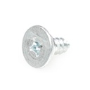 Screw 240521303 CKD50849