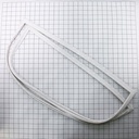 Gasket-Dor 2188448A CKD50853