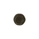 Screw WH2X930 CKD52037