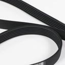 Belt 134051000 CKD52068