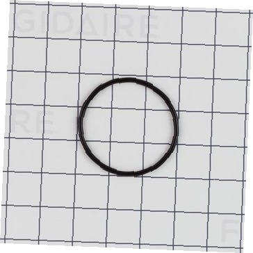 Oring,rear 154246901 CKD0520558