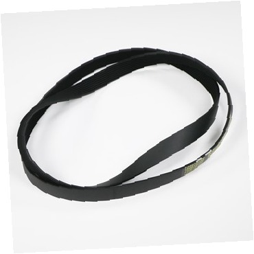 Belt,drive,poly-v 134616700 CKD0527632