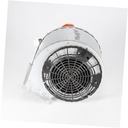 Motor-fan W11035826 CKD0538191 CKD0538191