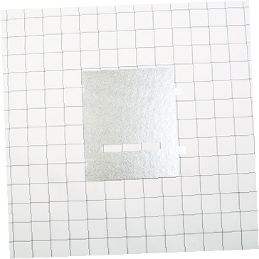 CANOPY MICA WB06X10638 CKD0547331 CKD0547331