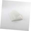 SHIELD LIGHT FZ WR17X11945 CKD0547967