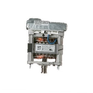 Drive Motor and Inverter Assembly WH20X10093 CKD0551123