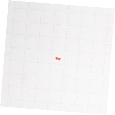 LENS WB25T10103 CKD0553975