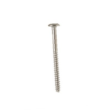 SCREW WD2X295 CKD0557745