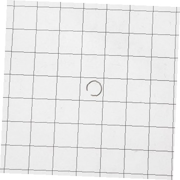 Ring MGZ42997101 CKD0561321 CKD0561321