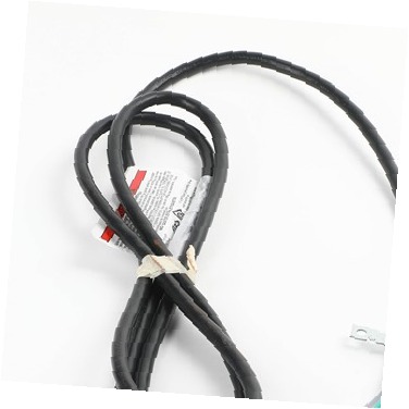 CORD 297366805 CKD0561521