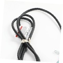 CORD 297366805 CKD0561521