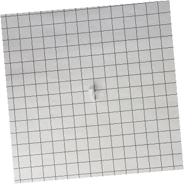 Door Closing Cam - White 216503300 CKD0561524