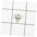 Door Handle Screw 241695904 CKD0563482 CKD0563482