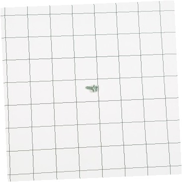 SCREW 316021104 CKD0565853