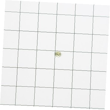 SCREW 218359202 CKD0567233