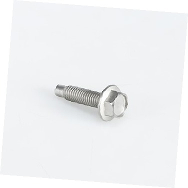 SCREW 5304504896 CKD0567332 CKD0567332