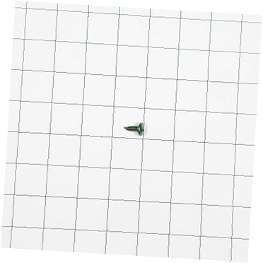 SCREW W11244557 CKD0571889