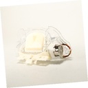 Refrigerator Dispenser Ice Chute Door and Motor Assembly WPW10577864 CKD0573577 CKD0573577